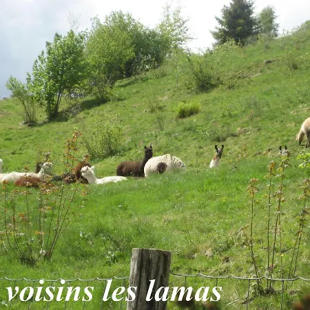 Chalet Les Genêts