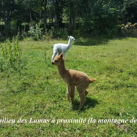 Les Genêts La Bresse