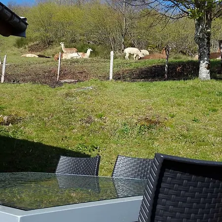 Les Genets Chalet La Bresse