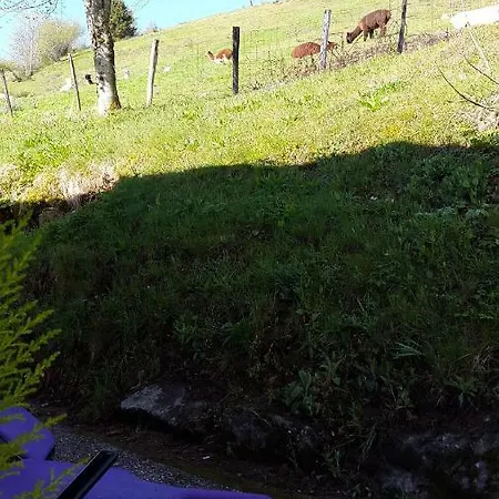 Les Genêts La Bresse