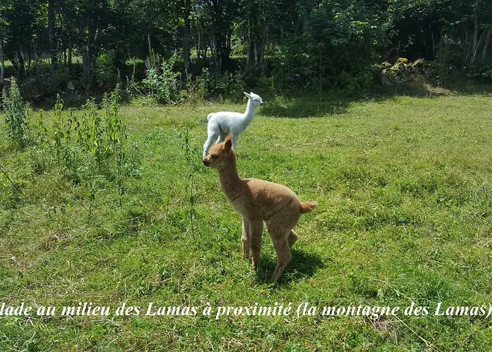 Les Genets La Bresse