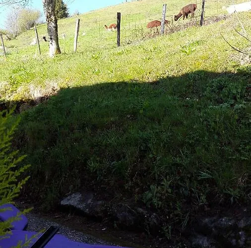 Les Genets La Bresse